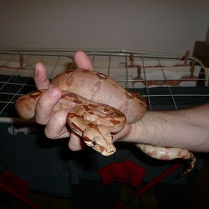 P1010725 [Resolucion de Escritorio].JPG