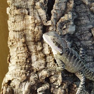 P9230018 (Small).JPG