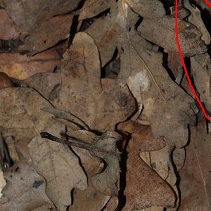 donde esta waly 1.JPG