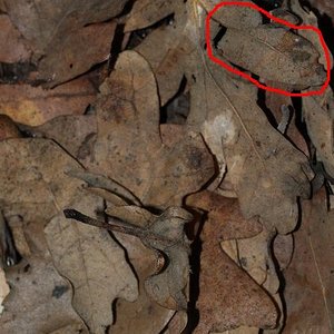 donde esta waly 2.JPG