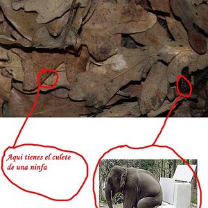 tn_resolucion concurso.jpg