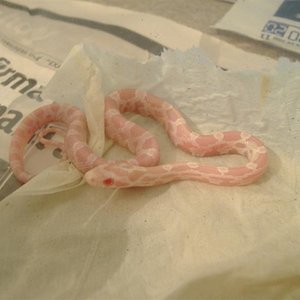 DSCF3758 (Medium).JPG