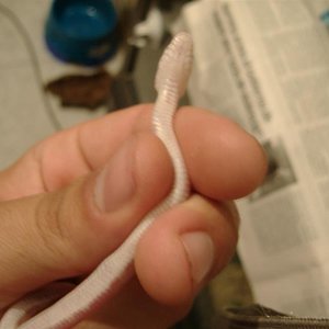 DSCF3801 (Medium).JPG