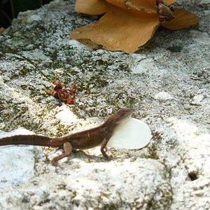 Imagen 029 (Small).jpg