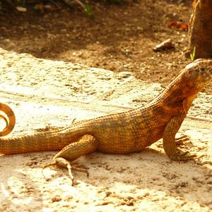 Imagen 288 (Small).jpg