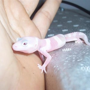 000_4102 (Medium).JPG