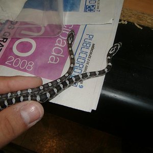 DSCF3930 (Medium).JPG