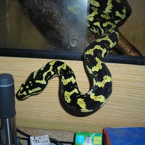 DSCN0724 (Small).JPG