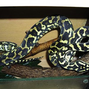 DSCN0725 (Small).JPG