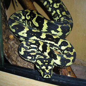 DSCN0726 (Small).JPG