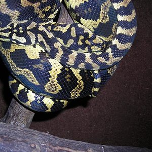 DSCN0735 (Small).JPG