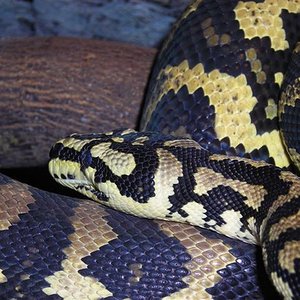 DSCN0737 (Small).JPG