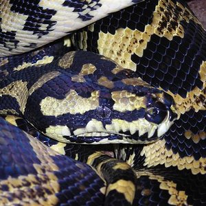 DSCN0738 (Small).JPG