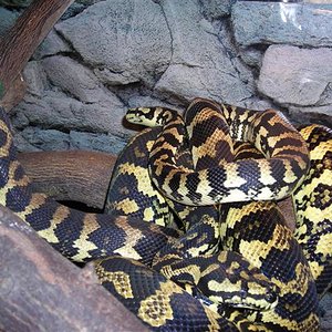 DSCN0740 (Small).JPG