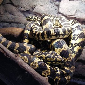 DSCN0741 (Small).JPG