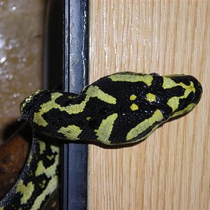 DSCN0743 (Small).JPG