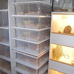 rack varillas 12.06.08..f.JPG