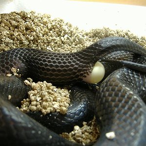 DSCF3945 (Medium).JPG