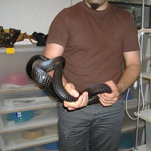 DSCF3975 (Medium).JPG