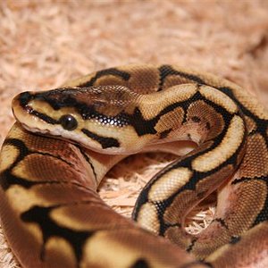 IMG_0945 (Small).JPG