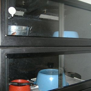 DSCF4021 (Medium).JPG