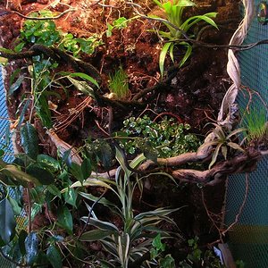 DSCN1434 [1024x768].JPG