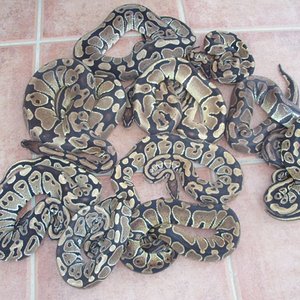 ultimasss 014rrrr.jpg