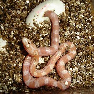 N 3 DSC00184-reducido.jpg