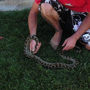 mdwarf 6 julio 2008.JPG