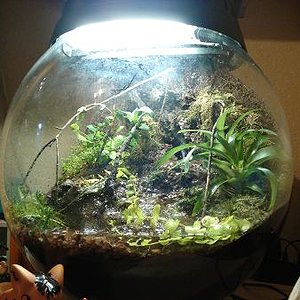 vacaciones2008 373.JPG