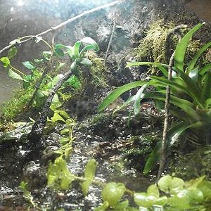 vacaciones2008 375.JPG