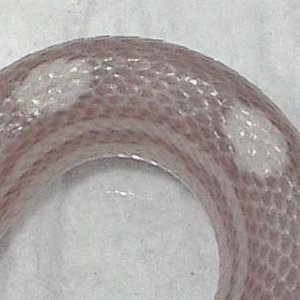 Motley ghost detalle.jpg