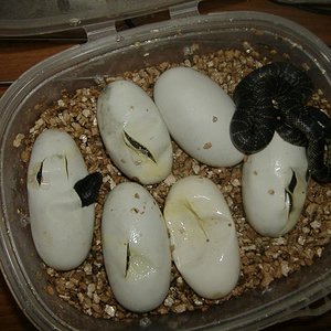 DSCF4045 (Medium).JPG