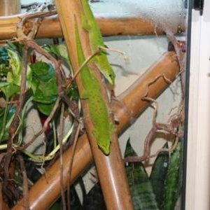 fotos animales 111 min.jpg