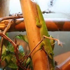 fotos animales 120 min.jpg