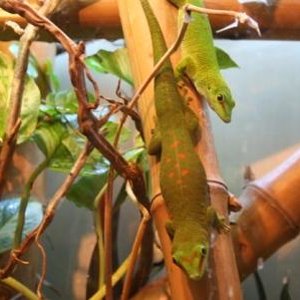 fotos animales 116 min.jpg