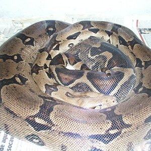 P1010007 [640x480].JPG