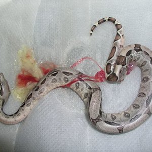 P1010050 [640x480].JPG