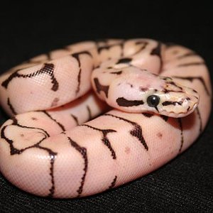 IMG_1244 (Small).JPG