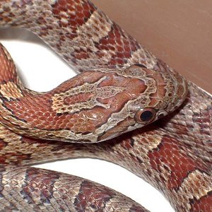 Upper keys detalle.jpg