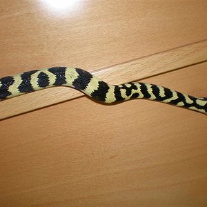 P8260298 (Small).JPG