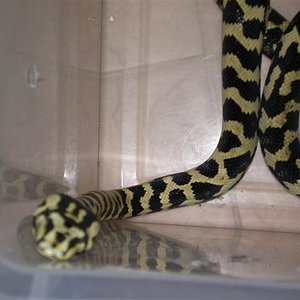 P8260293 (Small).JPG