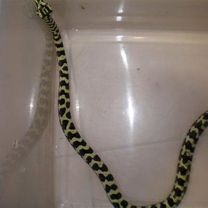 P8260291 (Small).JPG