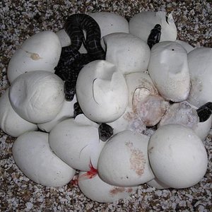 DSCN0966 (Small).JPG