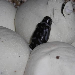 DSCN0969 (Small).JPG