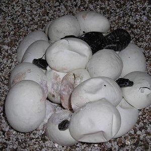 DSCN0970 (Small).JPG