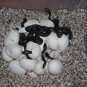 DSCN0973 (Small).JPG