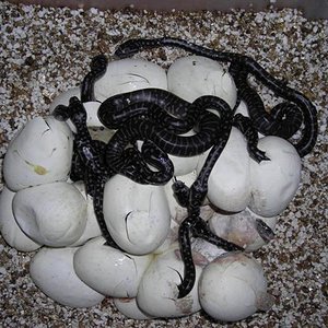 DSCN0974 (Small).JPG