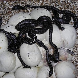 DSCN0975 (Small).JPG