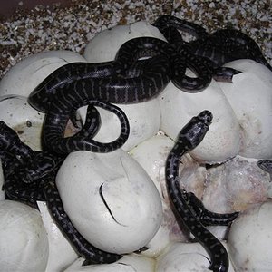 DSCN0976 (Small).JPG